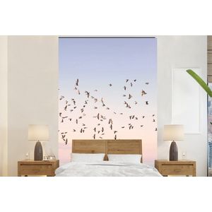 Vogels - Zee - Lucht - Natuur - Zomer - Behangpapier