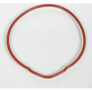 Joint moteur P2R pour Moto Rieju 50 RS1 1996 à 1999 Neuf