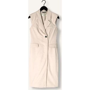 INWEAR Naxaiw Blazer Dress Dames - Jurk - Beige - Maat 38