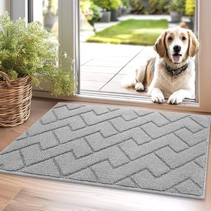 Candala Deurmatten Binnen Duiten Schoonloopmat Vuilschraper,Antislip, Machinewasbaar,Waterabsorberend, entree deurmat voor voordeur, gang, entree, keuken, slaapkamer (Light Grey, 50x80cm)
