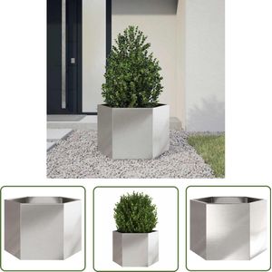 The Living Store Plantenbak zeshoek 69x60x45 cm roestvrijstaal - Plantenbakken - Metalen Plantenbak - Hexagonale Plantenbak - Sierpot - Buitenschilderij
