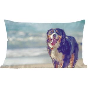 Sierkussens - Kussen - Een Berner Sennenhond loopt over het strand - 50x30 cm - Kussen van katoen