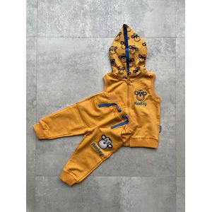 Vest baby/peuter jongens - Aap Baby vest