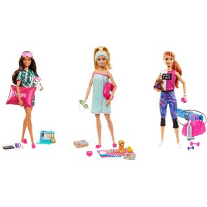 Barbie Speelset Assorti