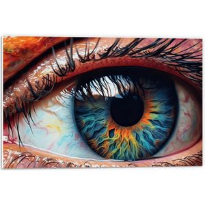 PVC Schuimplaat- Oog - Wimpers - Pupil - Mens - Kleuren - 60x40 cm Foto op PVC Schuimplaat