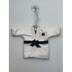 Mizuno mini-judopak | Wit / Rood