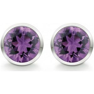 Quinn - Oorringen - Zilver - Amethist - 036809933