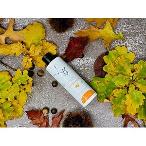 PoroBalance Body Cream - Lichaamscréme - Gecombineerde & Vette huid - Huidverzorging - Skincare - 200 ml