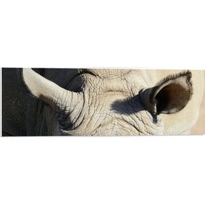 WallClassics - PVC Schuimplaat - Oren van Neushoorn - 90x30 cm Foto op PVC Schuimplaat (Met Ophangsysteem)