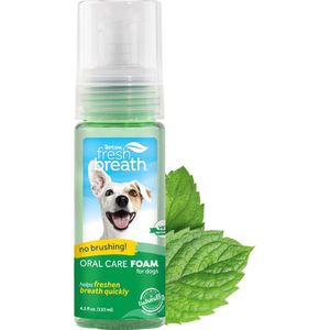 TropiClean Fresh Breath - Tandpasta Schuim Honden - 113 ml
