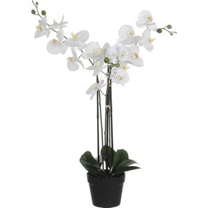 Mica Decorations Phalaenopsis Kunstplant - L75 x B51 x H79 cm - Wit