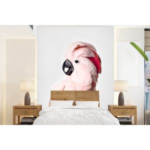 Kaketoe - Roze - Dieren - Natuur - Behangpapier