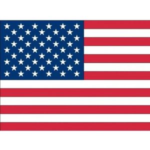 10x Binnen en buiten stickers USA/Amerika 10 cm - Amerikaanse vlag stickers - Supporter feestartikelen - Landen decoratie en versieringen