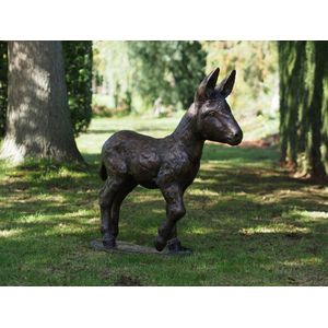 Tuinbeeld - brons - Ezel veulen - Bronzen beeld - 30 cm hoog - bronzartes