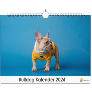 XL 2024 Kalender - Jaarkalender - Bull Terriër
