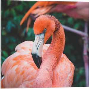 WallClassics - Vlag - Mooie Roze Flamingo - 50x50 cm Foto op Polyester Vlag