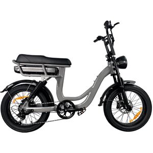 EB8 Fatbike E-bike 250Watt motorvermogen topsnelheid 25 km/u 20X4.0” Banden 7 Versnellingen met alarm Grijs