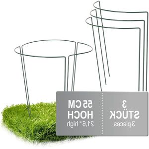 3x Bloemenhouder vaste plantenhouder voor bloemen (hoogte: 55 cm) - rozensteun als plantenhouder voor ranken vaste plantenring rond voor tuin balkon terras