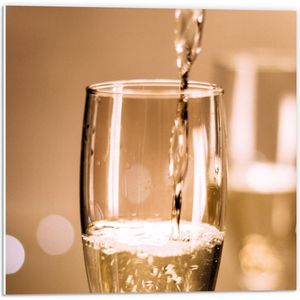 Forex - Champagneglas - 50x50cm Foto op Forex