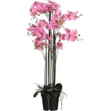 Mica Decorations Phalaenopsis Kunstplant - H117 x Ø35 cm - Met pot