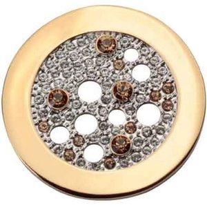 Quoins Transparency Of Life Disk Goud QMOA-19-G-L