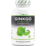 Vit4ever - Ginkgo Biloba 6000 mg - 365 tabletten - Premium: Met flavonglycosiden + ginkgolide terpene lactonen & vrij ginkgolzuur - Zonder ongewenste toevoegingen - Laboratoriumonderzoek - Hooggedoseerd - Veganistisch