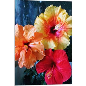 PVC Schuimplaat- Bloemen - Natuur - Roze - Oranje - Geel - 50x75 cm Foto op PVC Schuimplaat