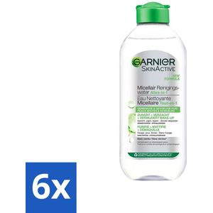 6 x Garnier - SkinActive - Micellair Reinigingswater - Vette Huid - Verzachtend & Reinigend - 400 ml - Micellair Reinigingswater - Reiniging Gezicht - Vette Huid - Gemengde Huid - Make-up Remover