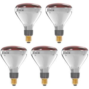 Technik E27 Infraroodlamp Dimbaar 250W - Half Infrarood Lamp R125 - 5 stuks