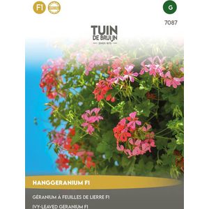 Tuin de Bruijn® zaden - Hanggeranium F1 - uniek, rijkbloeiend mengsel in roze en rode tinten - 8 zaden + 4 zaden GRATIS