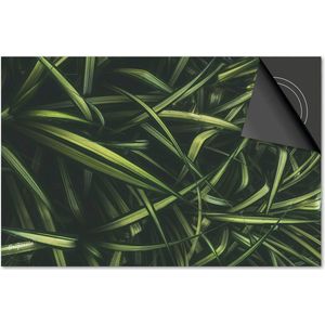 Inductie beschermer 90x52 - afdekplaat inductie mat - Dietrix Kookplaat beschermer - Exclusief - Leaves - 15 Groene sprieten