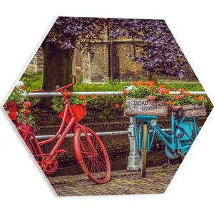 WallClassics - PVC Schuimplaat Hexagon - Rode en blauwe Fiets met Bloemen bij wit Hek voor de Gracht - 40x34.8 cm Foto op Hexagon (Met Ophangsysteem)