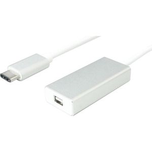 USB-C naar Mini DisplayPort adapter (4K 60 Hz) / wit - 0,10 meter