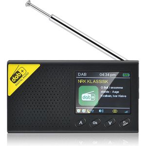 Draagbare Oplaadbare Dab/Dab+/FM Radio met Bluetooth en Klokfunctie