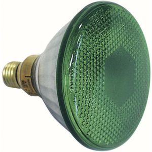 Showtec Showtec Par 38 lamp groen, E27, 90W, Flood Home entertainment - Accessoires