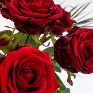 Bouquet Red Roses X Rituals Jing Shower Foaming