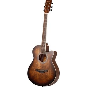 Fazley W55-COL-BR ColourTune western gitaar bruin