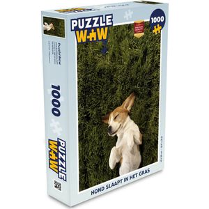 Puzzel Hond slaapt in het gras - Legpuzzel - Puzzel 1000 stukjes volwassenen