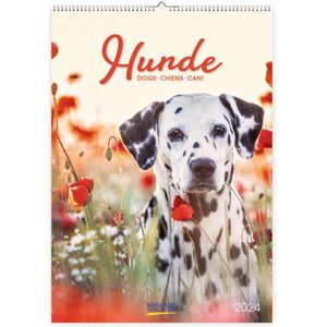 Honden Kalender 2024