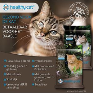 Healthy Cat Sensitive Zalm 4kg Kattenbrokken