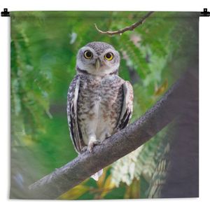 Wandkleed - Wanddoek - Uil zittend op tak - 60x60 cm - Wandtapijt