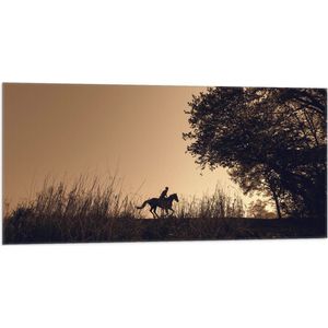 WallClassics - Vlag - Silhouette van een Paardrijder - 100x50 cm Foto op Polyester Vlag