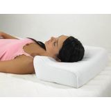 Original plus hoofdkussen - Plus 51 x 36 x 13 cm - Harley