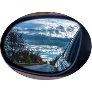 Dibond Ovaal - Uitzicht op Bomen langs de Weg vanuit Autospiegel - 56x42 cm Foto op Ovaal (Met Ophangsysteem)