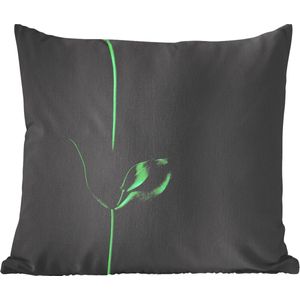 Sierkussens - Kussen - Een groene stengel met twee bladeren tegen een zwarte achtergrond - 50x50 cm - Kussen van katoen