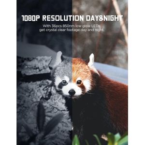 Equivera Wildcamera - Wildcamera met Nachtzicht - Wildcamera's - Wildcamera met Nachtzicht en Wifi - Wildlife Camera's - Wild Camera - Buitencamera met Nachtzicht - Wildcamera voor Buiten - Wildcamera met Sensor