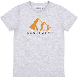 Dirkje Limited Edition T-shirt Grey