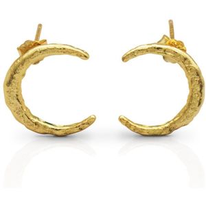 Schitterende 14K Gold Plated Zilveren Maan Oorbellen