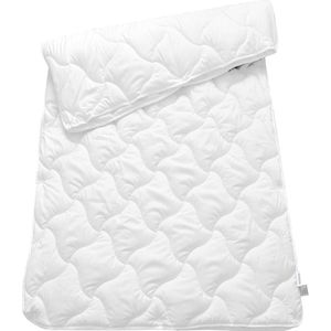 4-seizoenen dekbed - 2-delig - Anti-allergie dekbed - Set met zomerdekbed en winterdekbed - Eenpersoons dekbed - 155 x 220cm