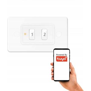 Zigbee Scene Afstandsbediening 2 Kanalen 6 Programma's TUYA Home Assistant